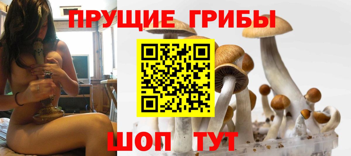 Псилоцибиновые грибы прущие грибы Чайковский
