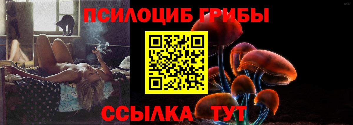 Галлюциногенные грибы Psilocybe  Вход с VPN  Галлюциногенные грибы мицелий  Чайковский 